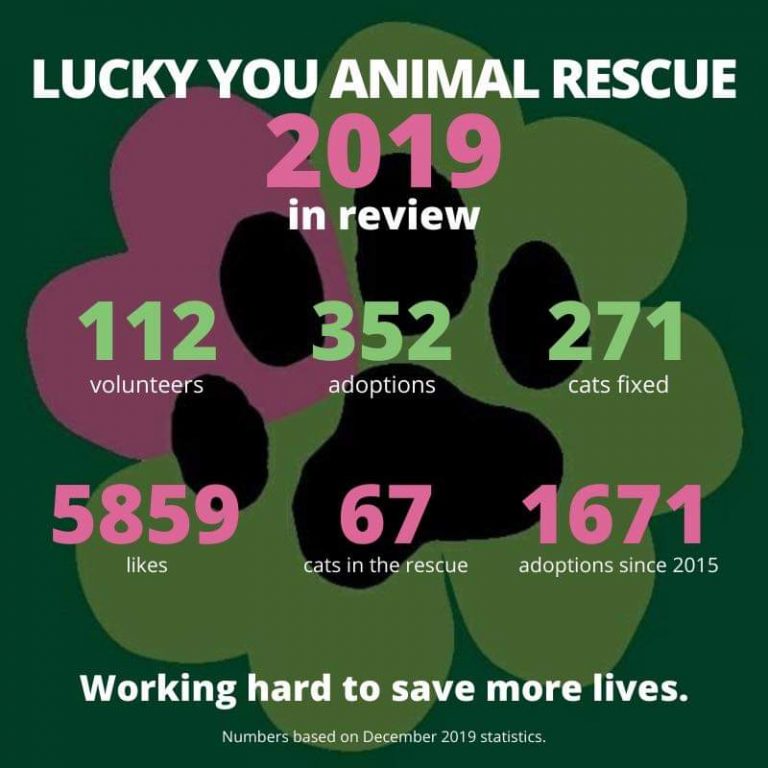 Lucky You Animal Rescue